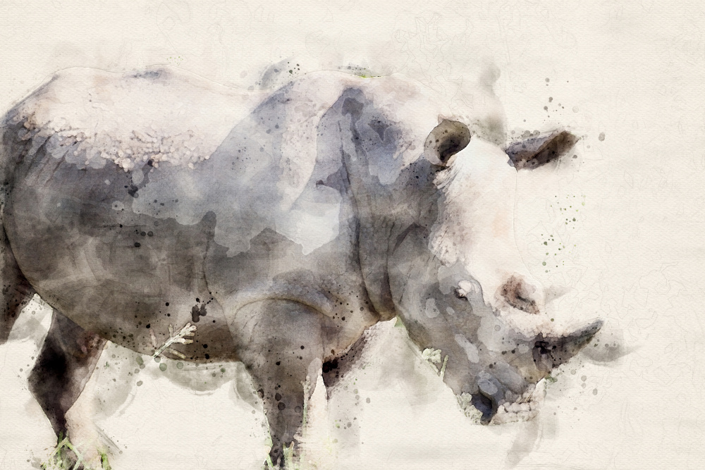 Abstract African Rhinoceros Watercolor Art à Arno Du Toit