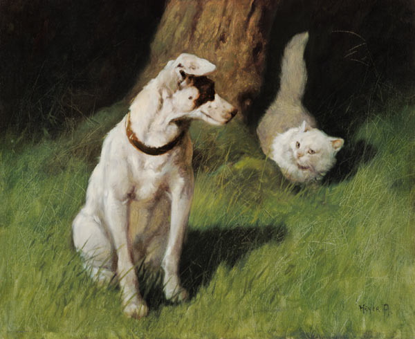 White Persian Cat and Jack Russell à Arthur Heyer