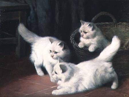 Three White Angora Kittens à Arthur Heyer