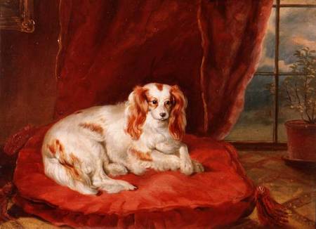 A Cavalier King Charles Spaniel Lying on a Red Cushion à Arthur J. Stark