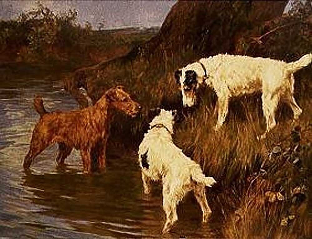 Three terriers at a riverbank à Arthur Wardle