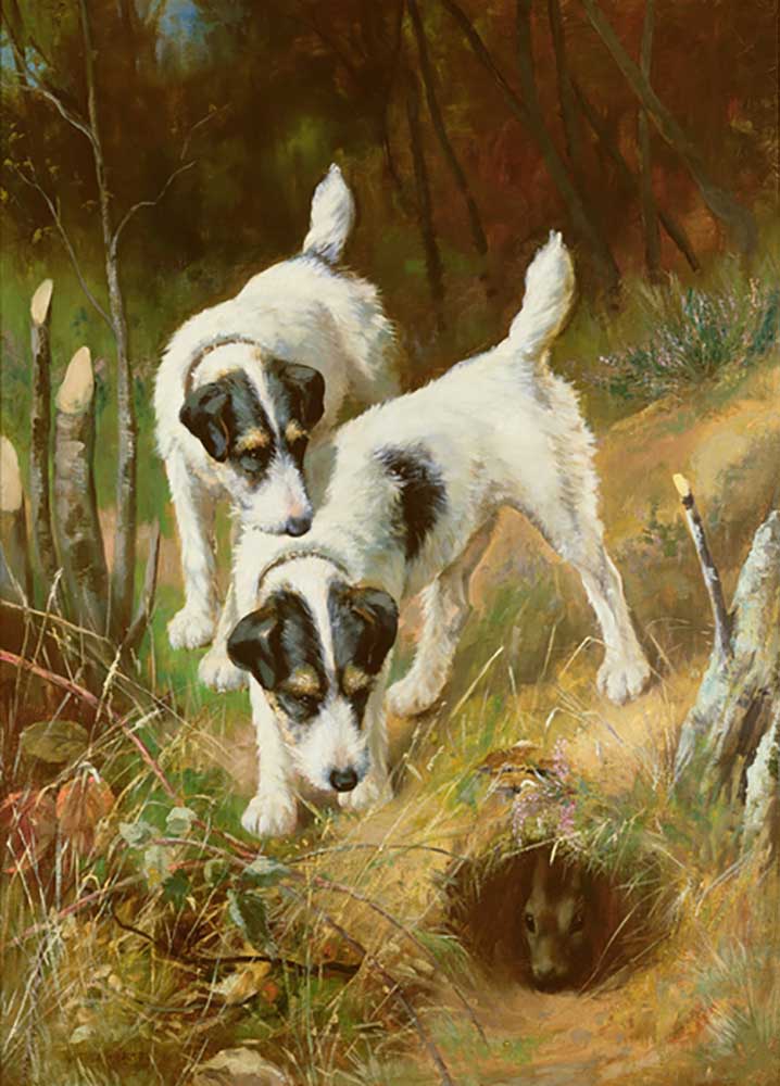 Terriers Rabbiting à Arthur Wardle