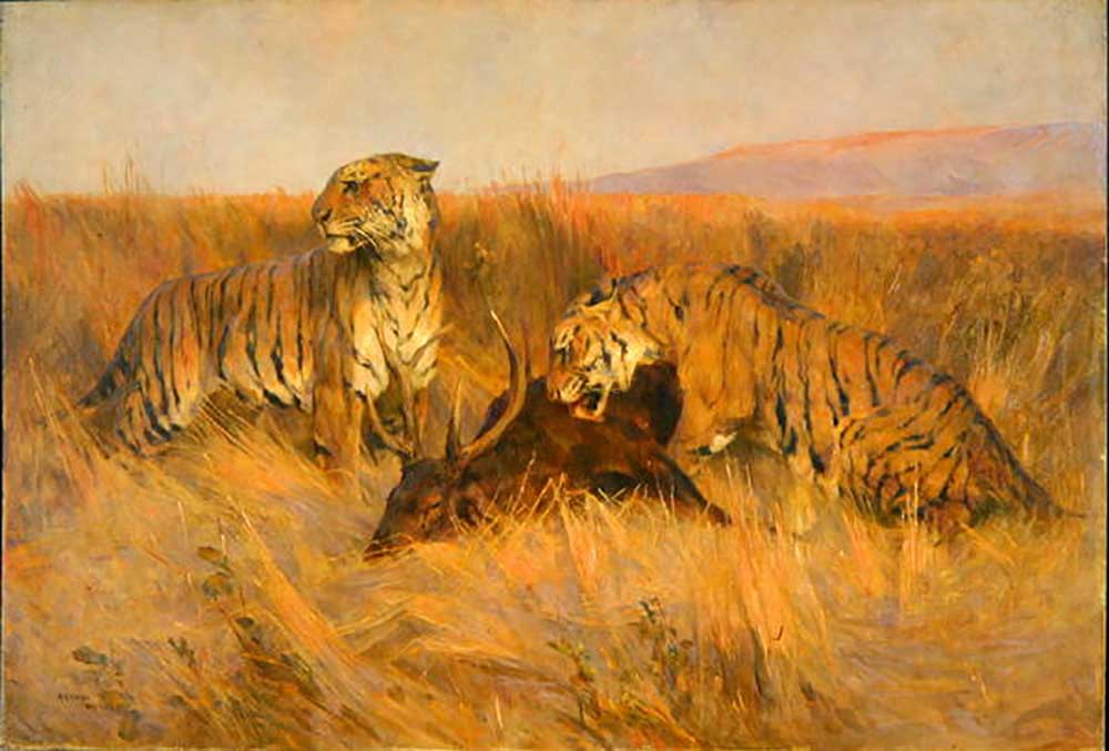 Tigers at Kill à Arthur Wardle