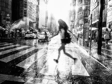 Shibuya Street - TOKYO 2016