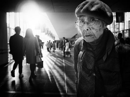 Shibuya Street - TOKYO 2016