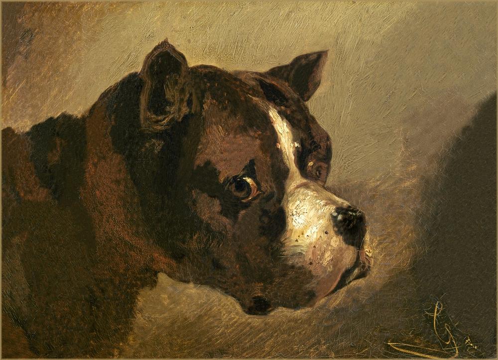 Head of a Bulldog à (attribué de) Theodore Gericault