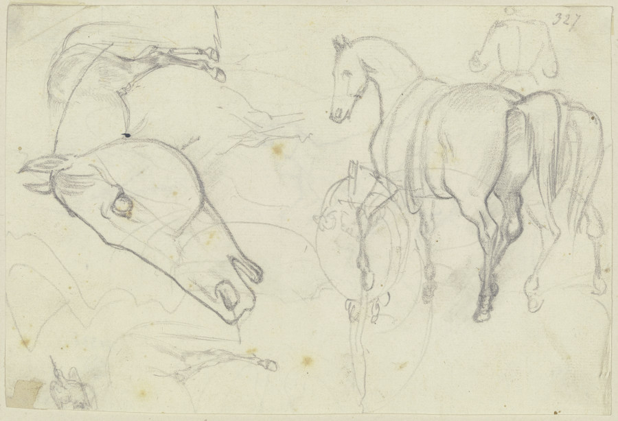 Studies of horses à August Lucas