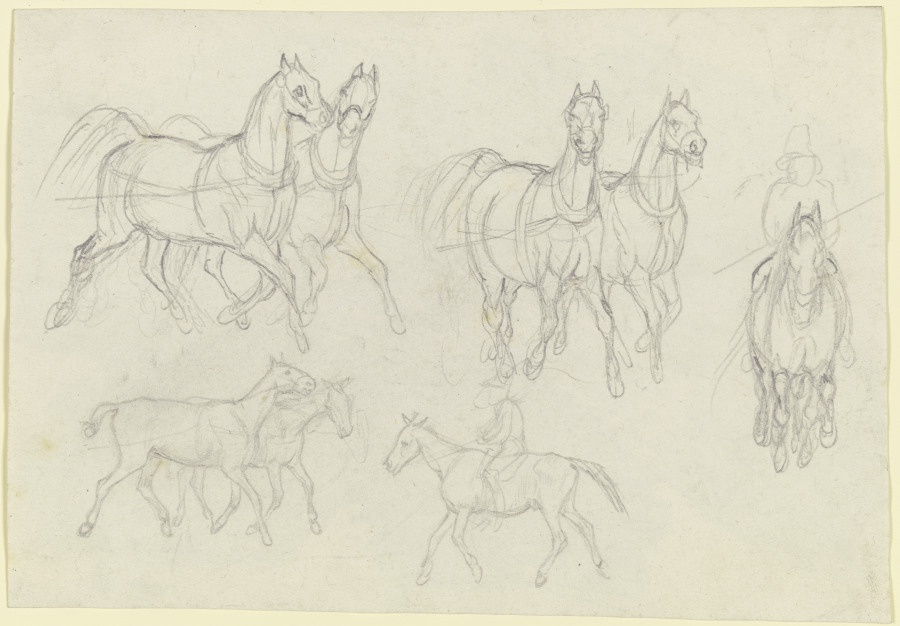 Study of horses, at a trot à August Lucas