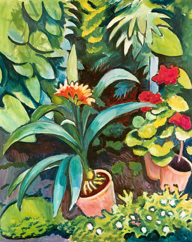 Fleurs dans le jardin - Clivia et Pelargonien à August Macke