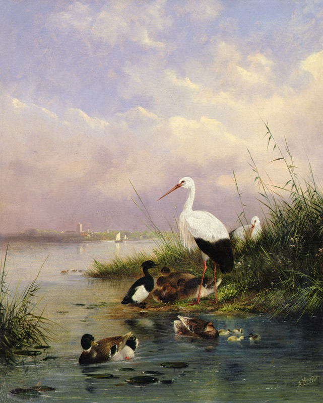 A family of Mallard, two Storks and a family of Tufted Ducks à Augustus Knip