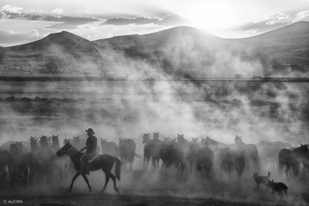 Rider on the roll à aumitcanan