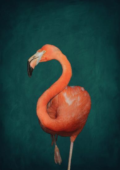 Green Flamingo