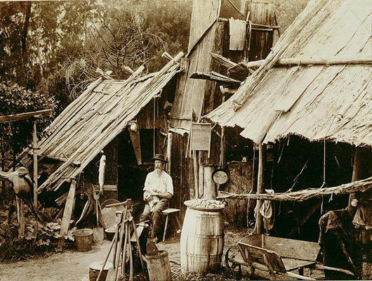 Australian prospector, c.1880s (sepia photo) à Ecole australienne, (19ème siècle)
