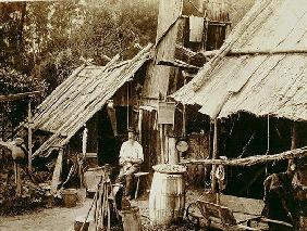 Australian prospector, c.1880s (sepia photo)
