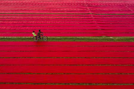 Bicycle on red cloths