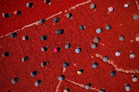 Women on red chilies