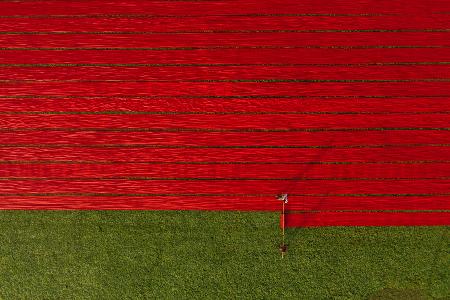 Red fabrics