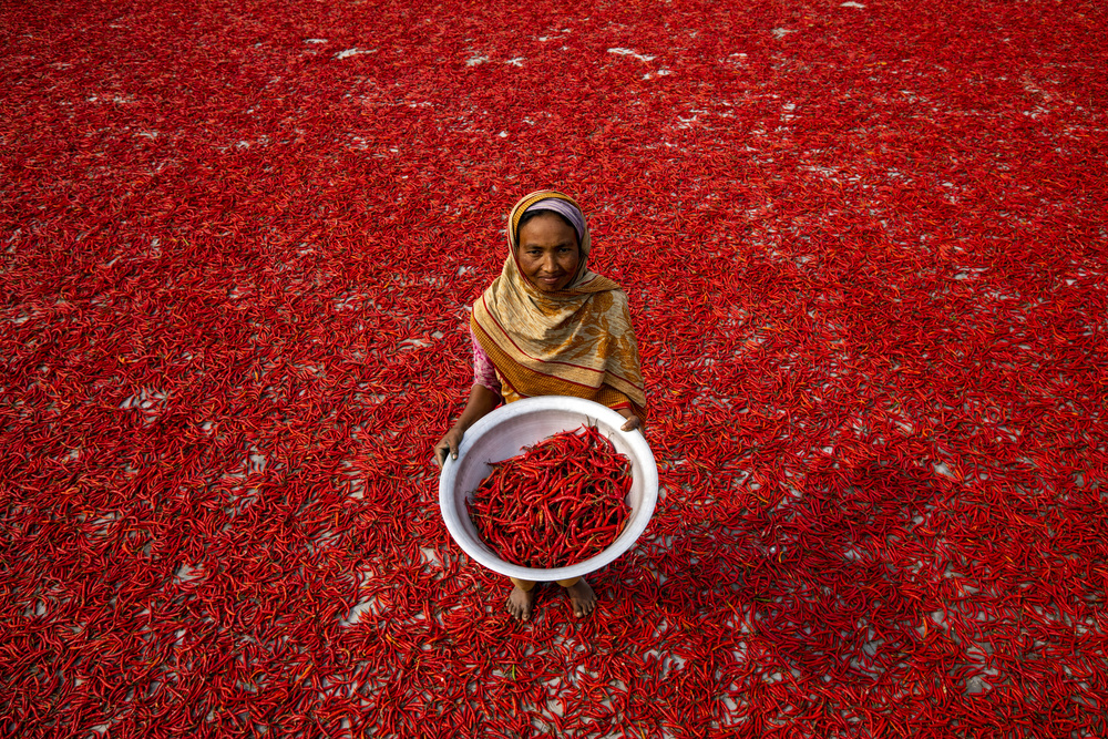 Red chilli worker à Azim Khan Ronnie
