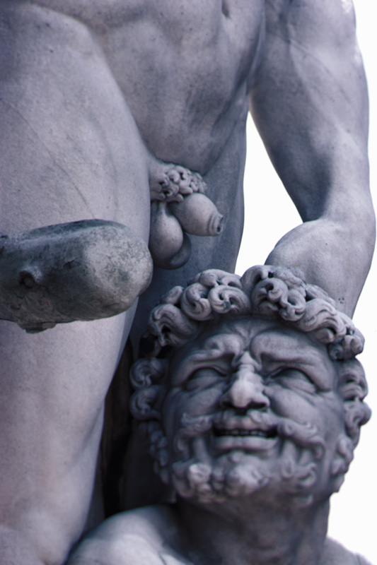 Detail from the Statue of Hercules and Cacus à Baccio Bandinelli