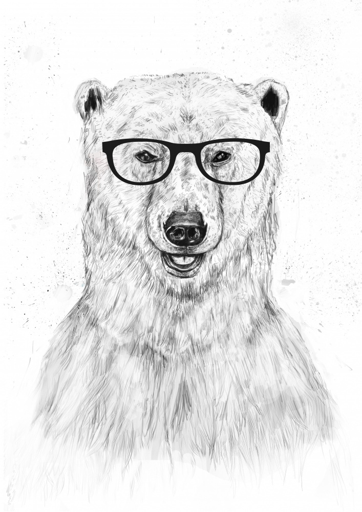 Geek bear à Balazs Solti