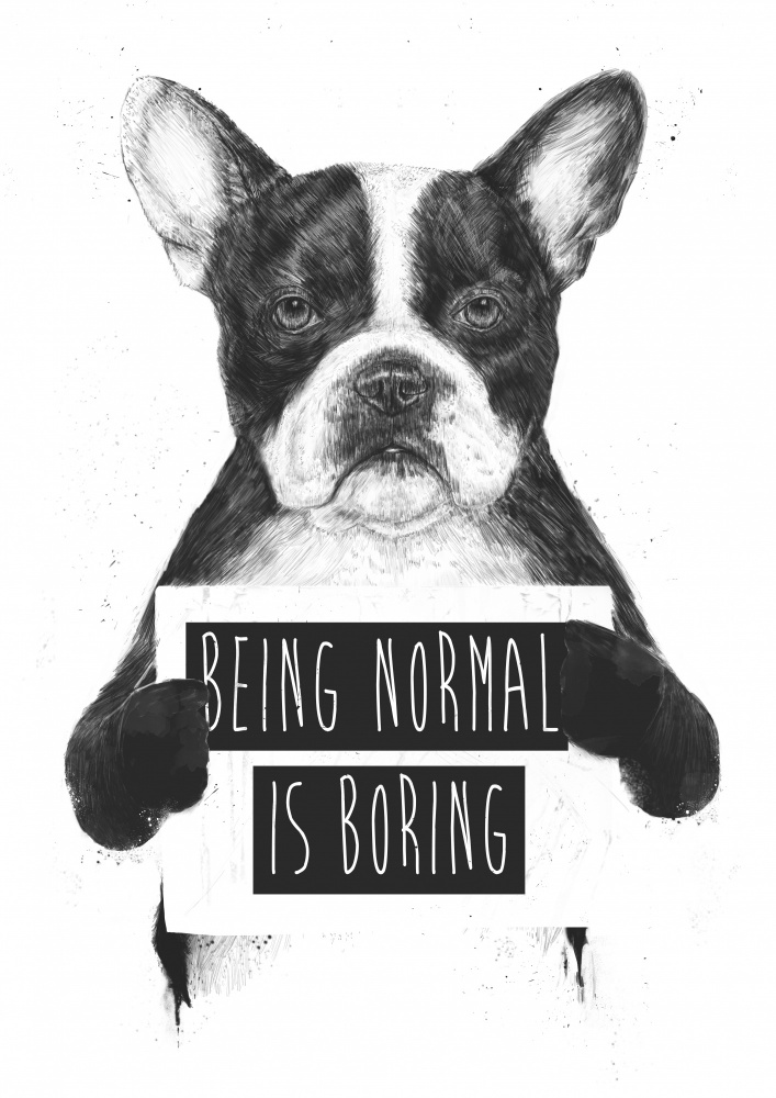 Being Normal Is Boring à Balazs Solti
