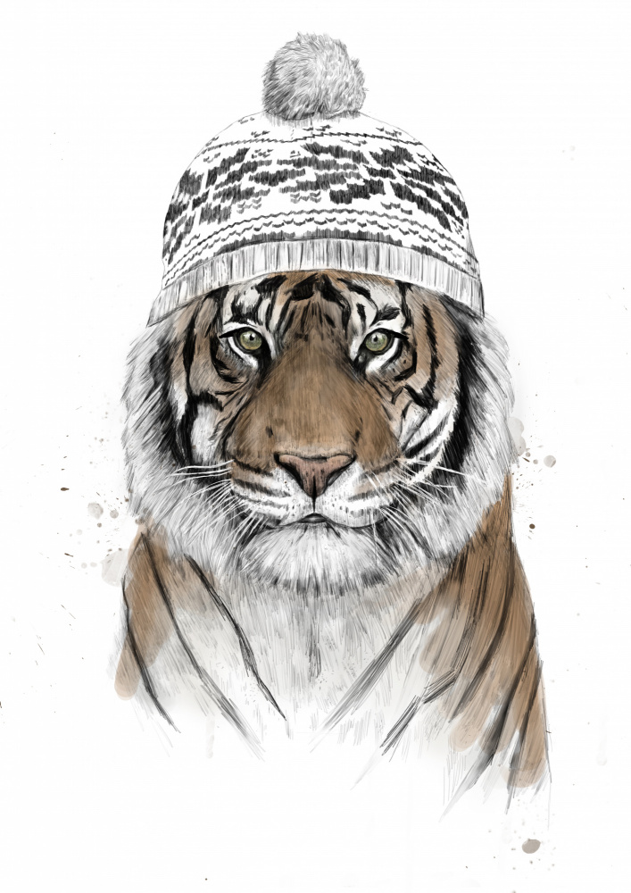 Siberian tiger à Balazs Solti