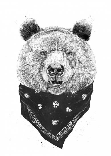 Wild bear