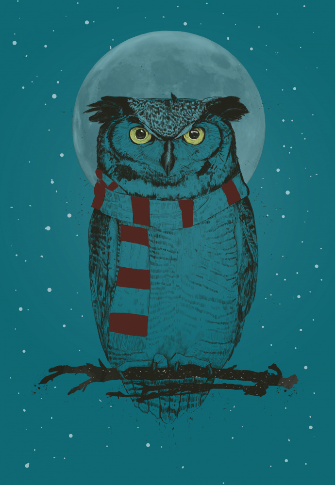 Winter owl à Balazs Solti