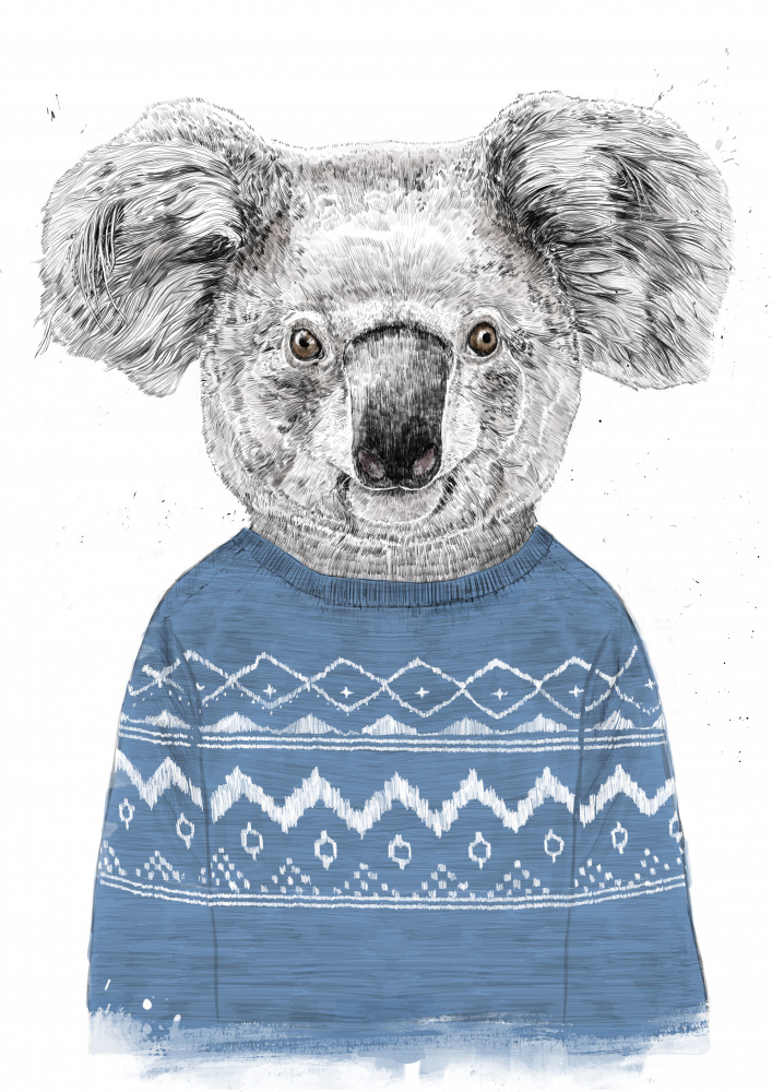 Winter koala (blue) à Balazs Solti