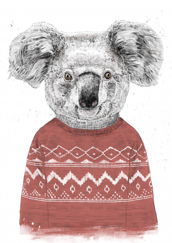 Winter koala (red) à Balazs Solti