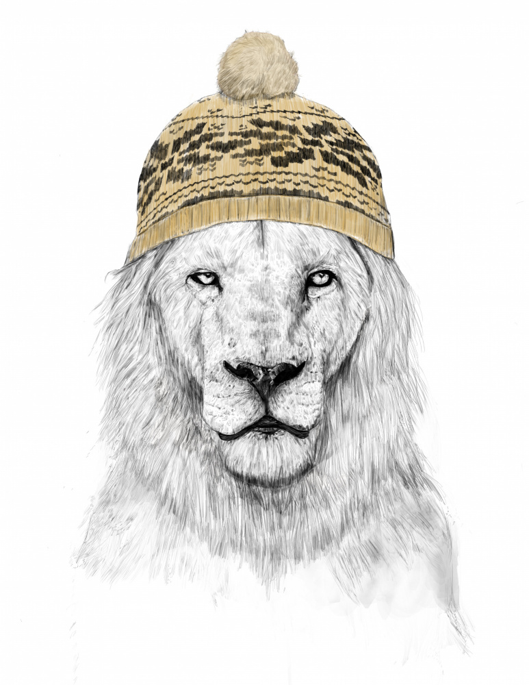 Winter Lion à Balazs Solti