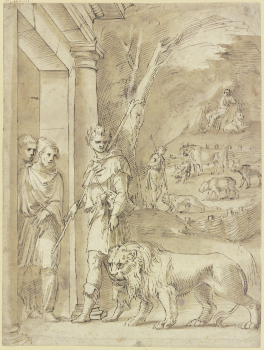 Androcles and the lion à Baldassare Peruzzi
