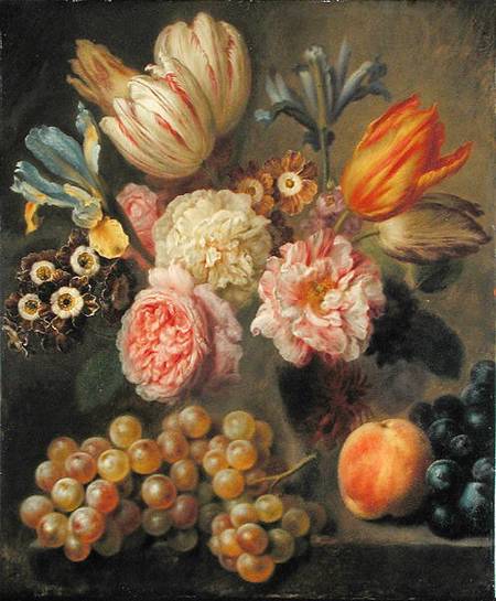 Flower Study à Balthasar Denner