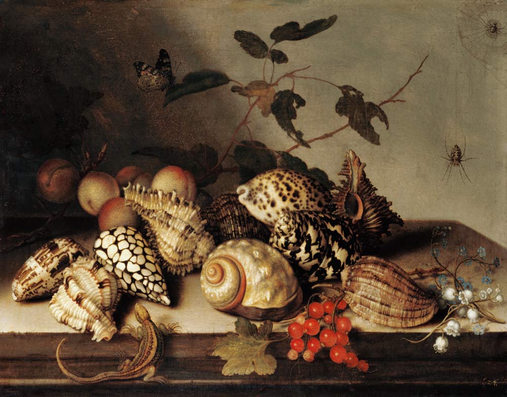 Coquilles et fruits à Balthasar van der Ast