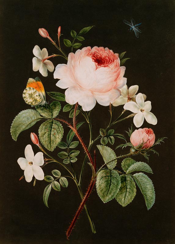 Rose and jasmine flower arrangement à Barbara Regina Dietzsch