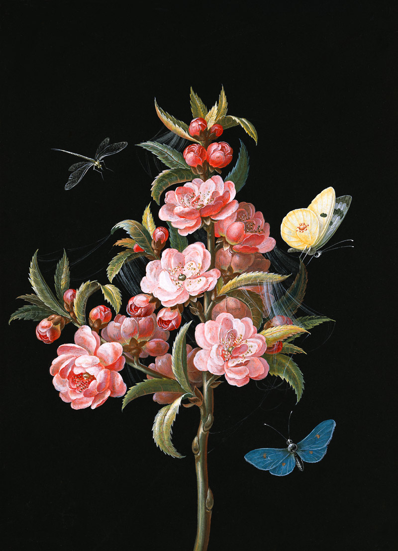cerise japonaise avec la libellule et des papillons à Barbara Regina Dietzsch