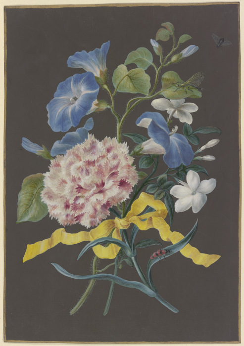 Blumengebinde mit rosa Nelke (Dianthus), blauer Winde (Convolvulus) und weißem Jasmin (Jasminum), mi à Barbara Regina Dietzsch