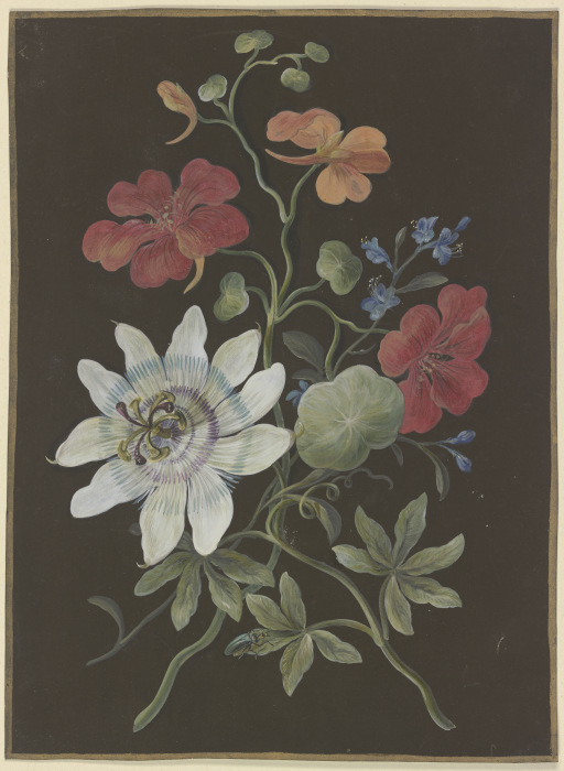Gesteck aus Passionsblume (Passiflora), roter Kapuzinerkresse (Tropaeplum) und Vergißmeinnicht (Myos à Barbara Regina Dietzsch