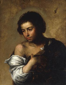 B.E.Murillo, Head of a Boy