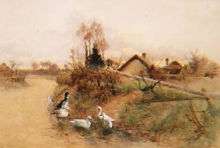 Dabbling Ducks à Benjamin D. Sigmund
