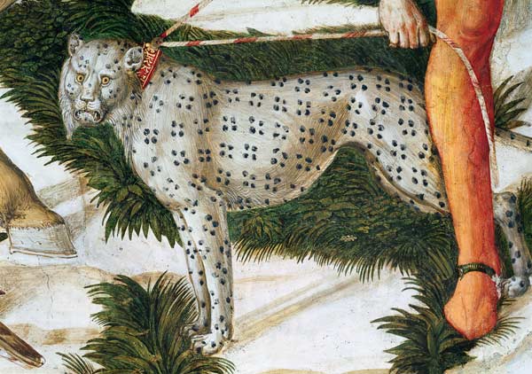 Leopard straining on a leash, detail from the Journey of the Magi cycle in the chapel à Benozzo Gozzoli