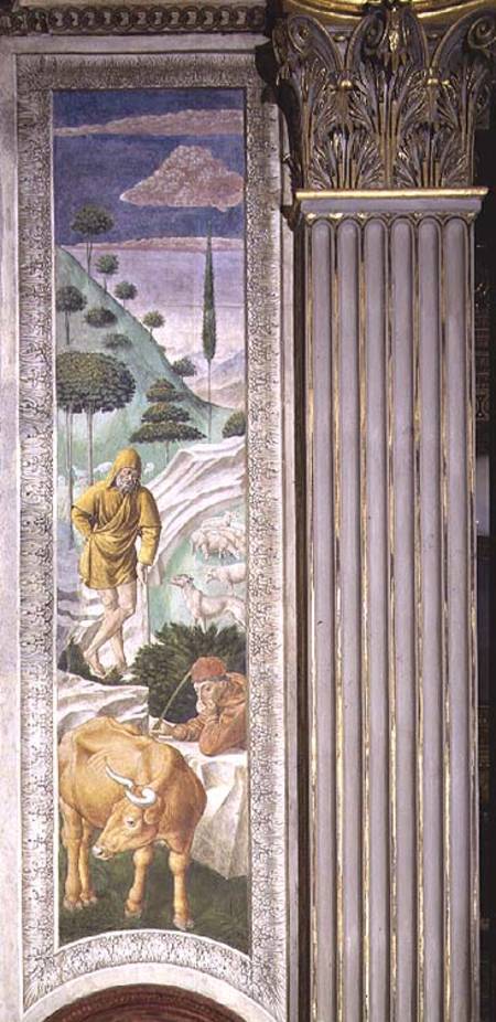 Shepherd and herdsman, panel alongside the left wall of the Journey of the Magi cycle in the chapel à Benozzo Gozzoli