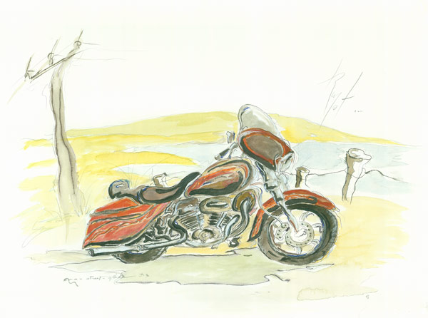 Harley Davidson / MOTOS DE REVE à Renot