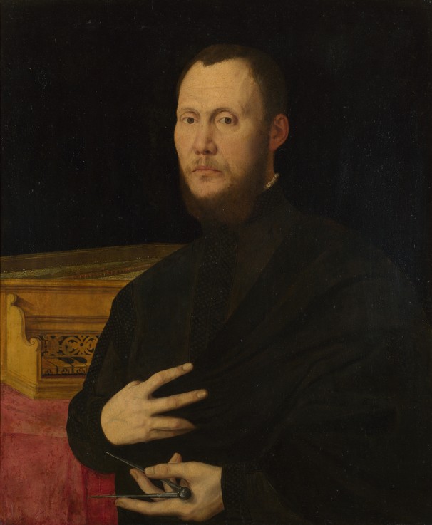 Portrait of a Musician à Bernardino Campi