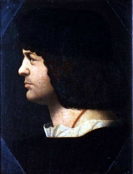 Portrait of a Man (panel) à Bernardino de' Conti