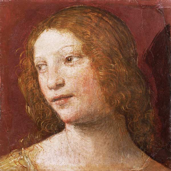 Head of a Young Woman à Bernardino Luini