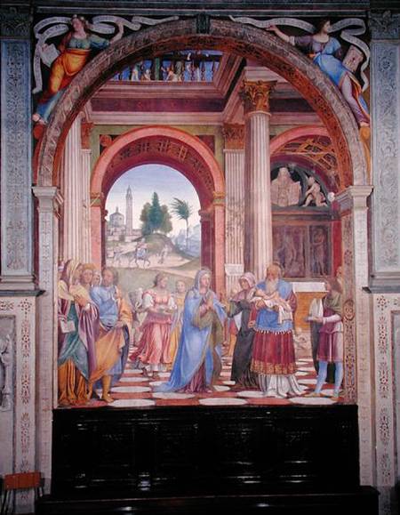 Presentation in the Temple à Bernardino Luini