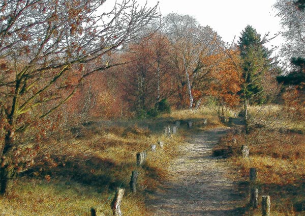 Trail in Hamburg à Bernd Wieczorek