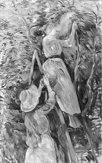 Picking cherries, 1891 (see also 18907) à Berthe Morisot