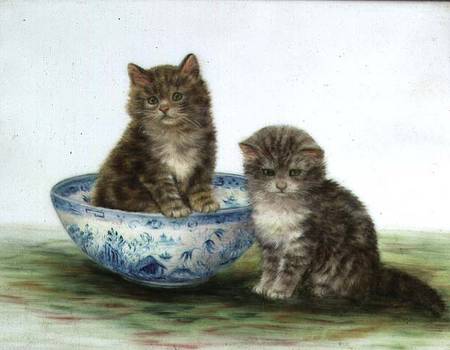 Kitten in a Blue China Bowl à Betsy Bamber